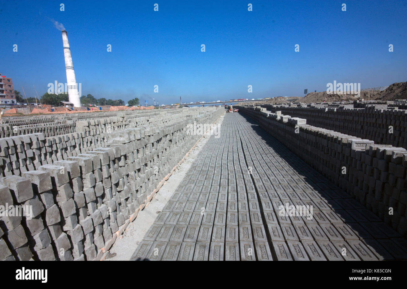 Emission of huge quantity of toxic elements from brick kilns is causing