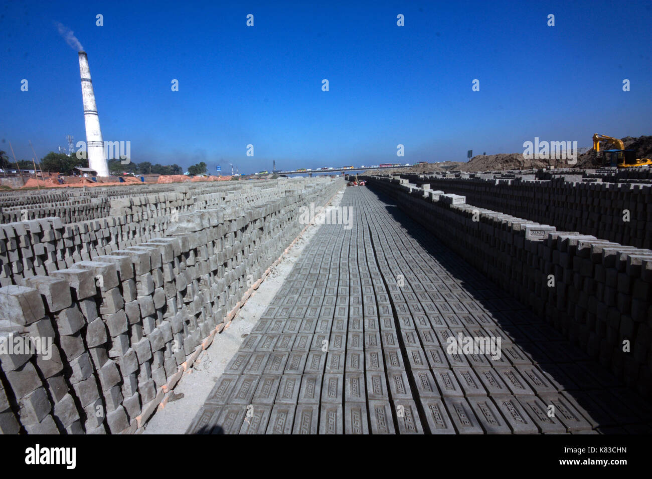 Emission of huge quantity of toxic elements from brick kilns is causing