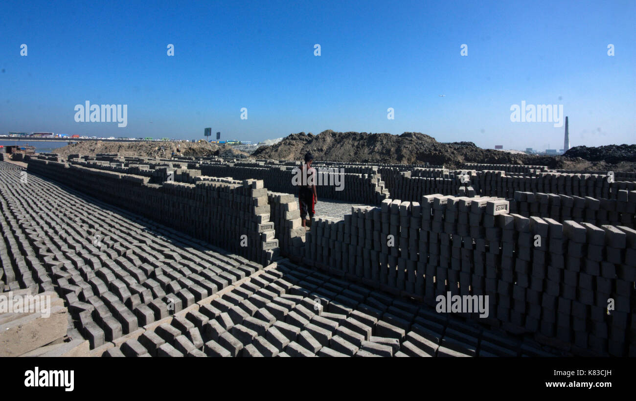 Emission of huge quantity of toxic elements from brick kilns is causing