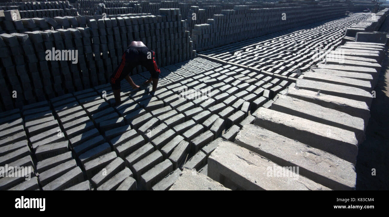 Emission of huge quantity of toxic elements from brick kilns is causing