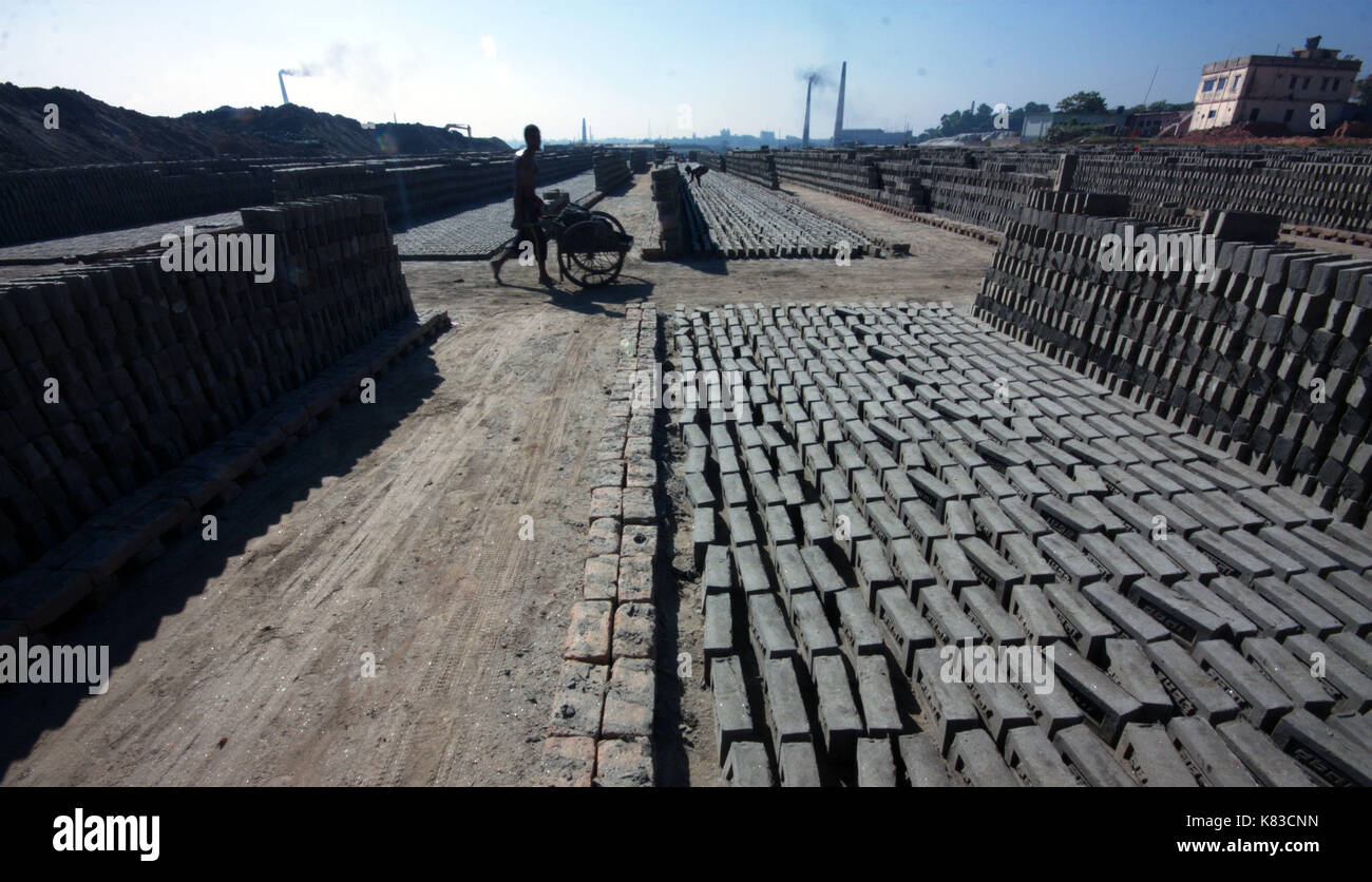 Emission of huge quantity of toxic elements from brick kilns is causing