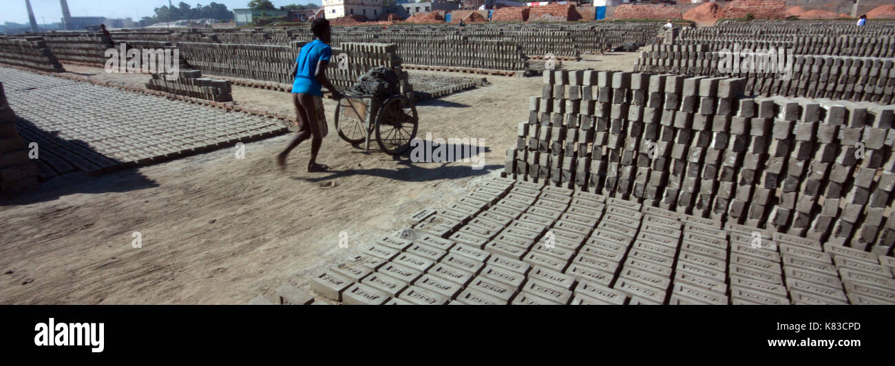 Emission of huge quantity of toxic elements from brick kilns is causing