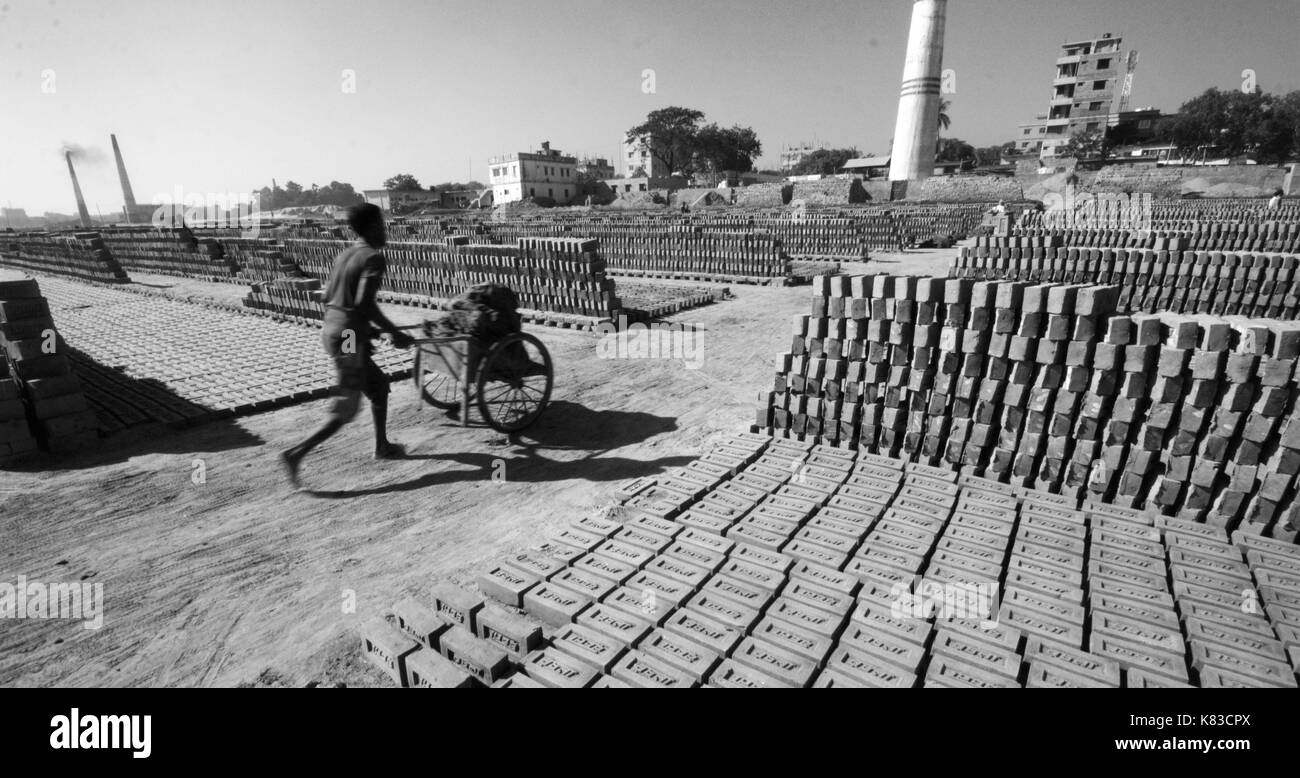 Emission of huge quantity of toxic elements from brick kilns is causing