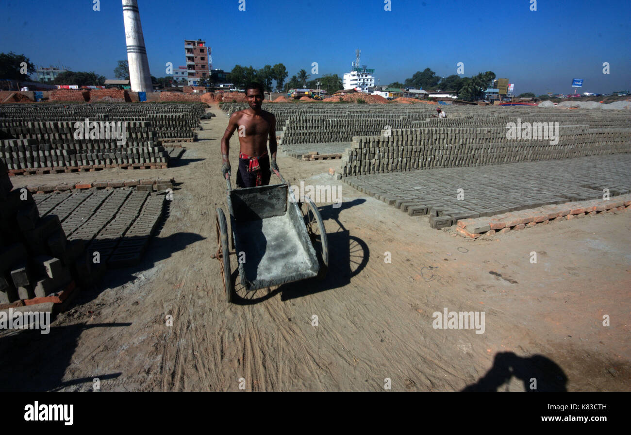 Emission of huge quantity of toxic elements from brick kilns is causing