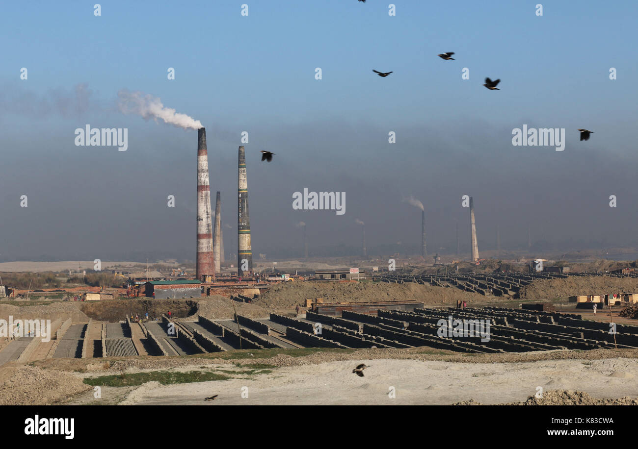 Emission of huge quantity of toxic elements from brick kilns is causing