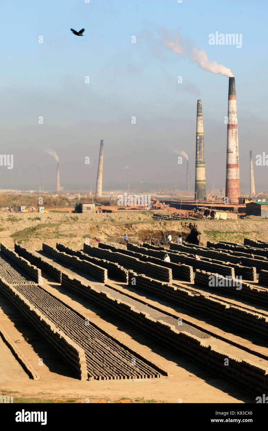 Emission of huge quantity of toxic elements from brick kilns is causing