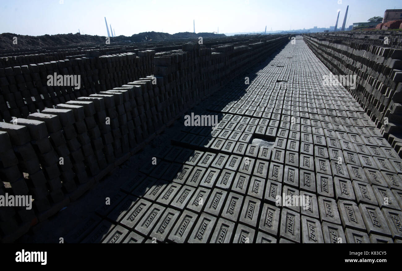Emission of huge quantity of toxic elements from brick kilns is causing