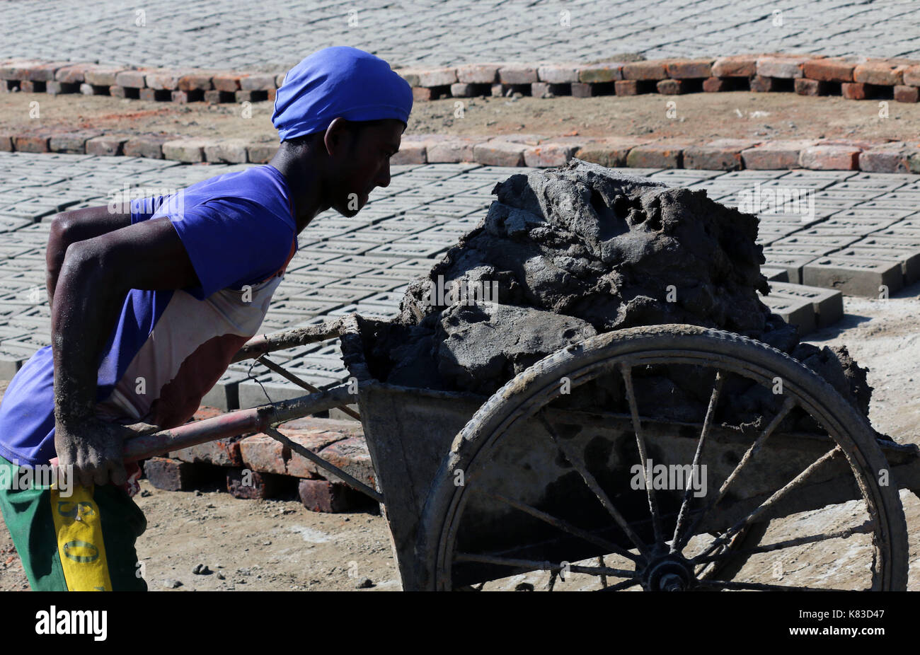 Emission of huge quantity of toxic elements from brick kilns is causing