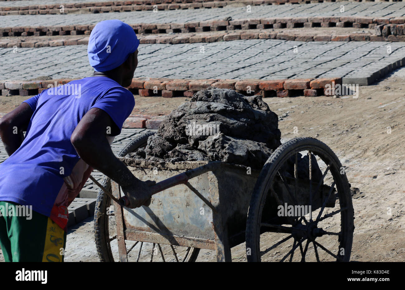 Emission of huge quantity of toxic elements from brick kilns is causing