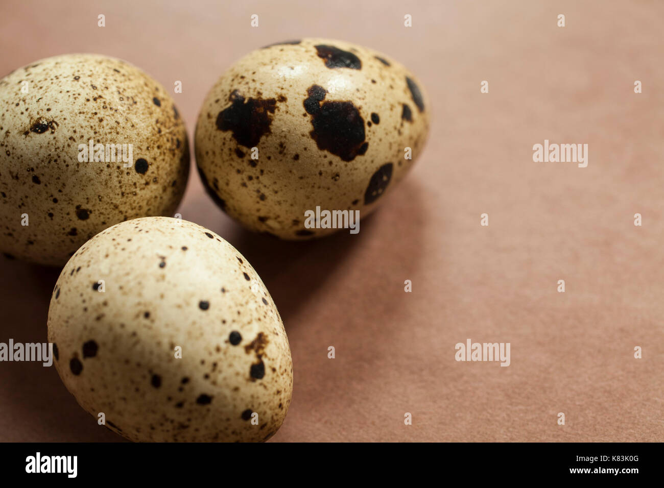 Three quail eggs on a table. Stock Photo