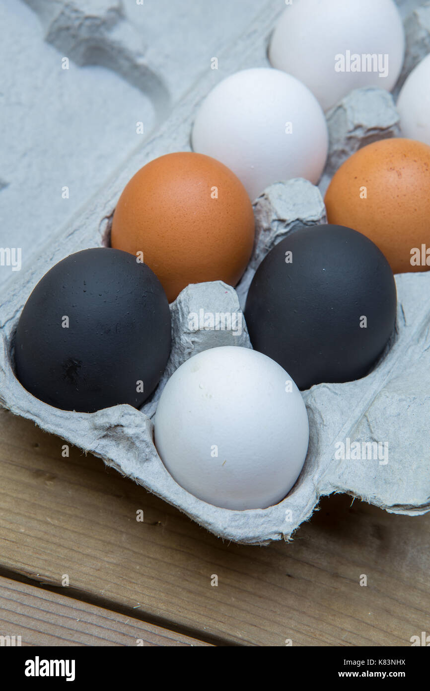 white brown and a painted black chicken egg. Different but the same Stock Photo