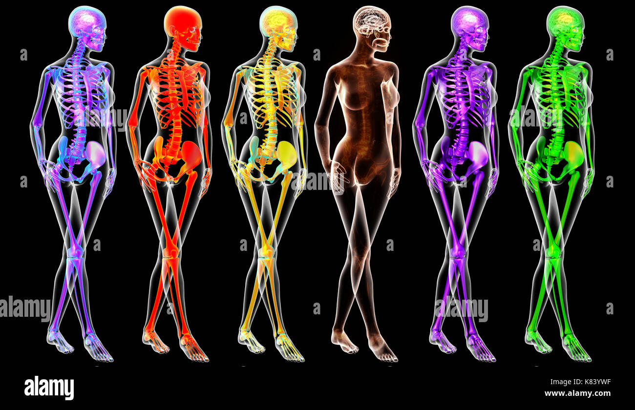 3d illustration of  walking fire skeleton by X-rays on background Stock Photo