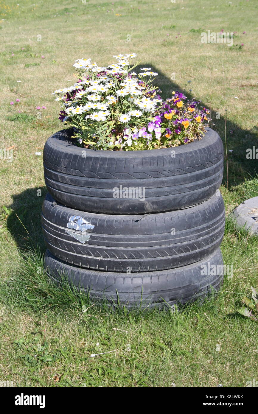 Planter with daisies. Planter made from recycled old car tires. Seen at a gas station in Norway Stock Photo