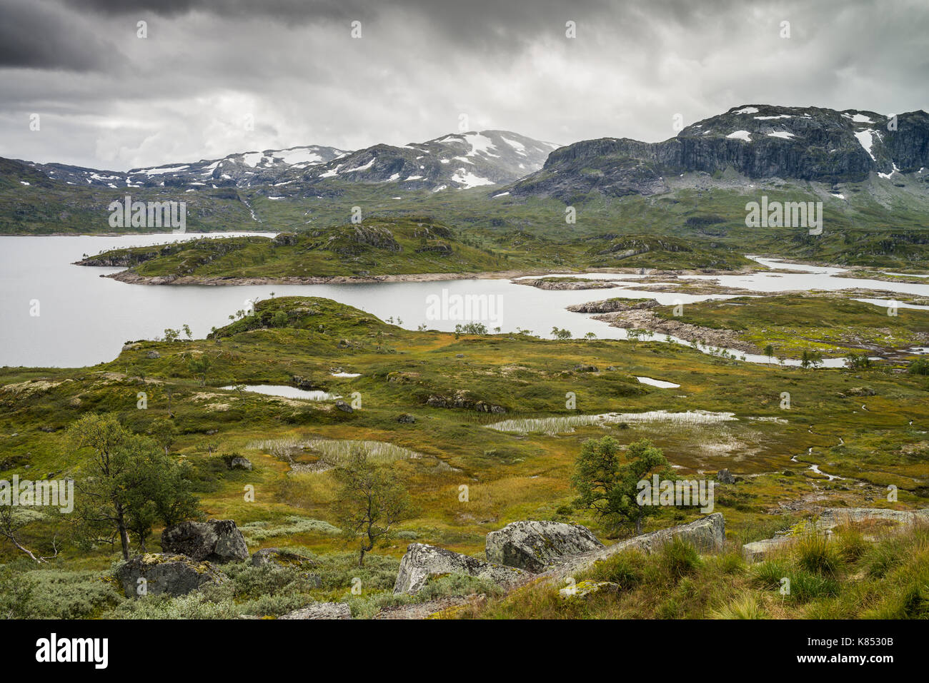 Landscape of the Hardangervidda national park, Norway, Europe Stock Photo -  Alamy