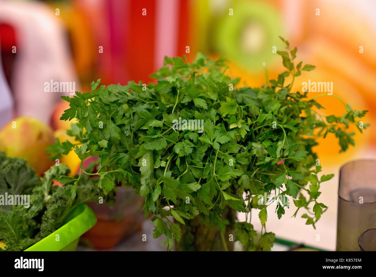 Fresh green parsley in a pot. Home gardening Stock Photo - Alamy
