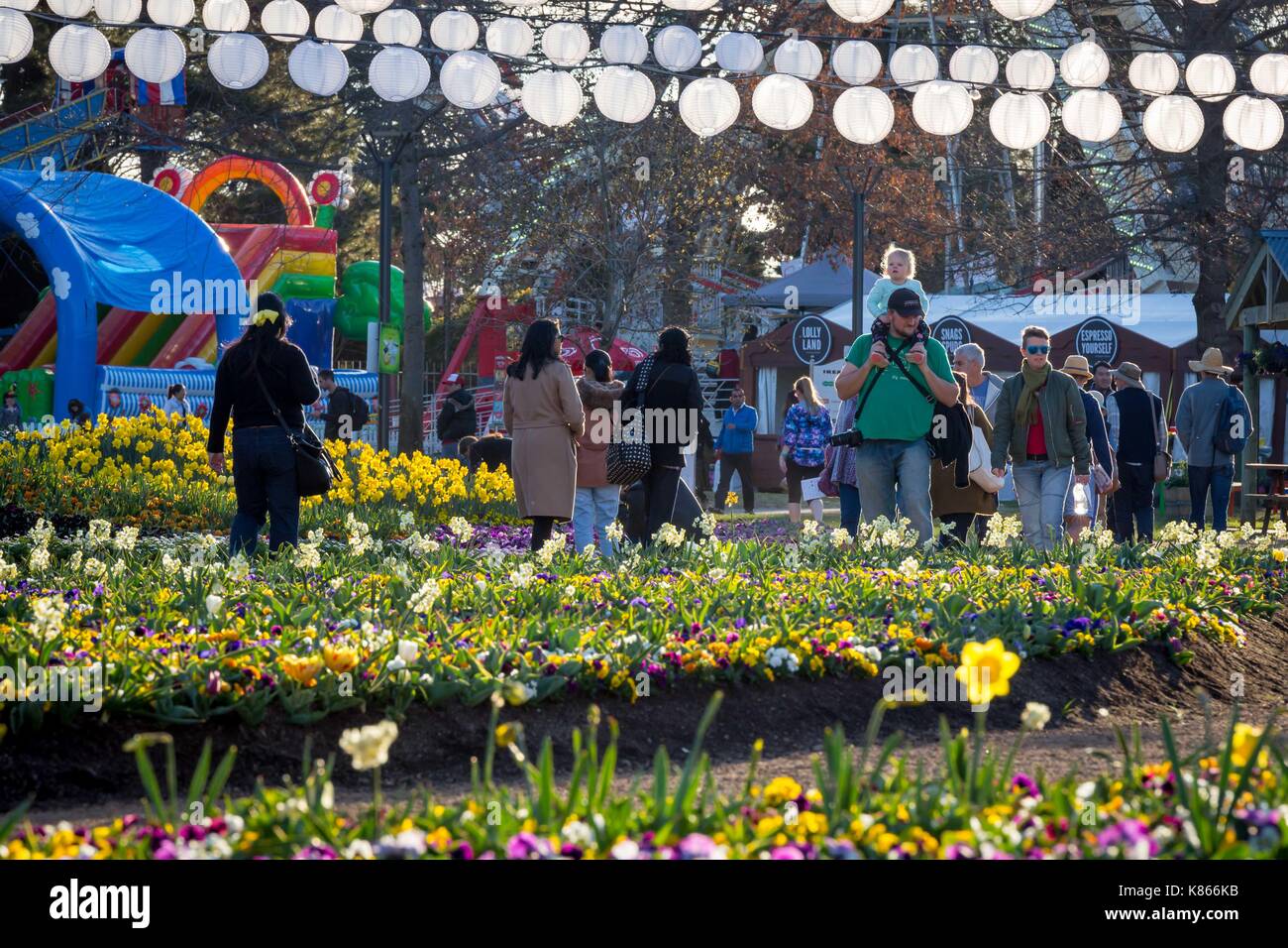 Canberra flowers floriade hires stock photography and images Alamy
