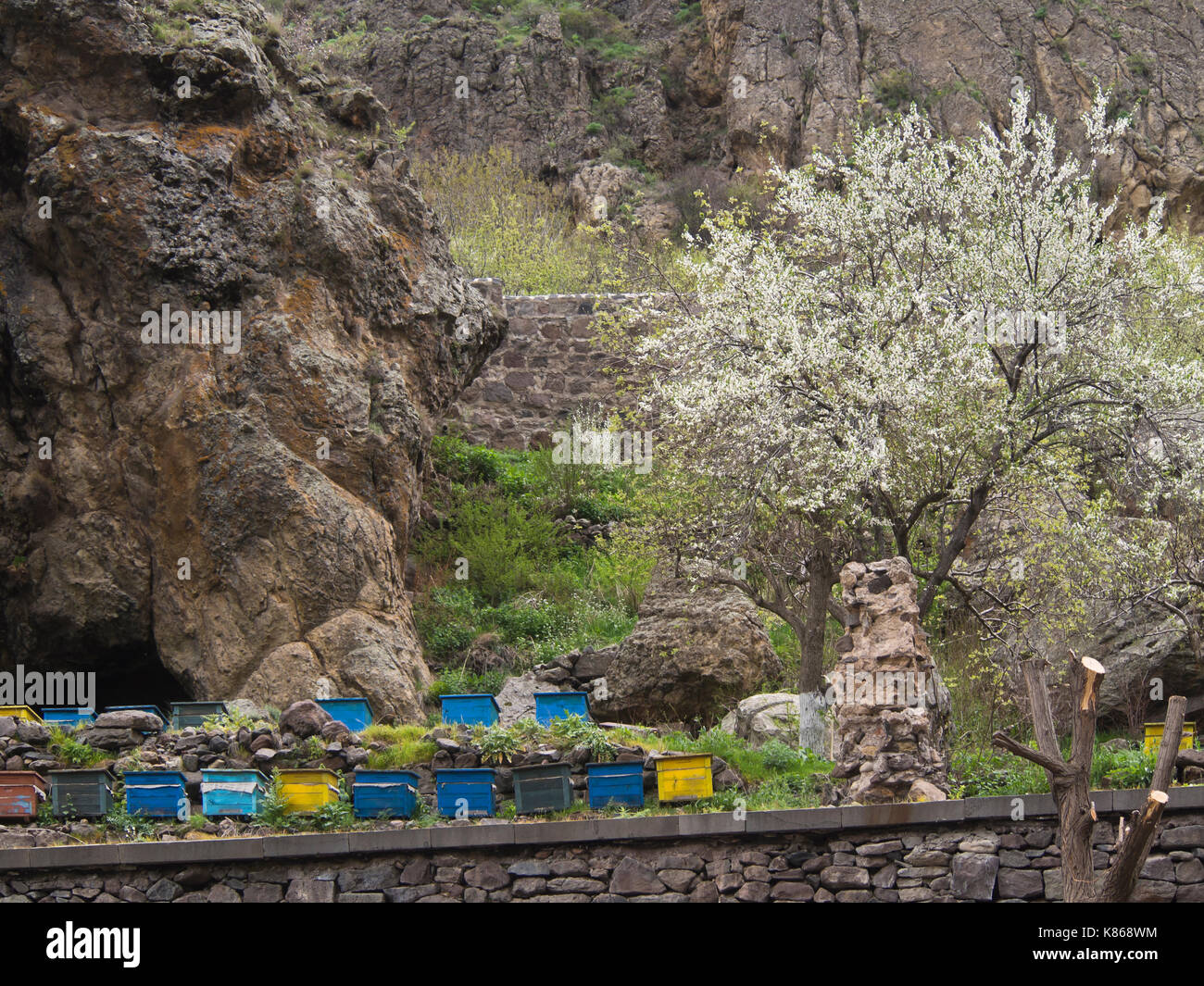 Geghard Monastery in the Azat River gorge, one of several UNESCO World Heritage listed sites in Armenia, beekeeping with trees in the springtime Stock Photo