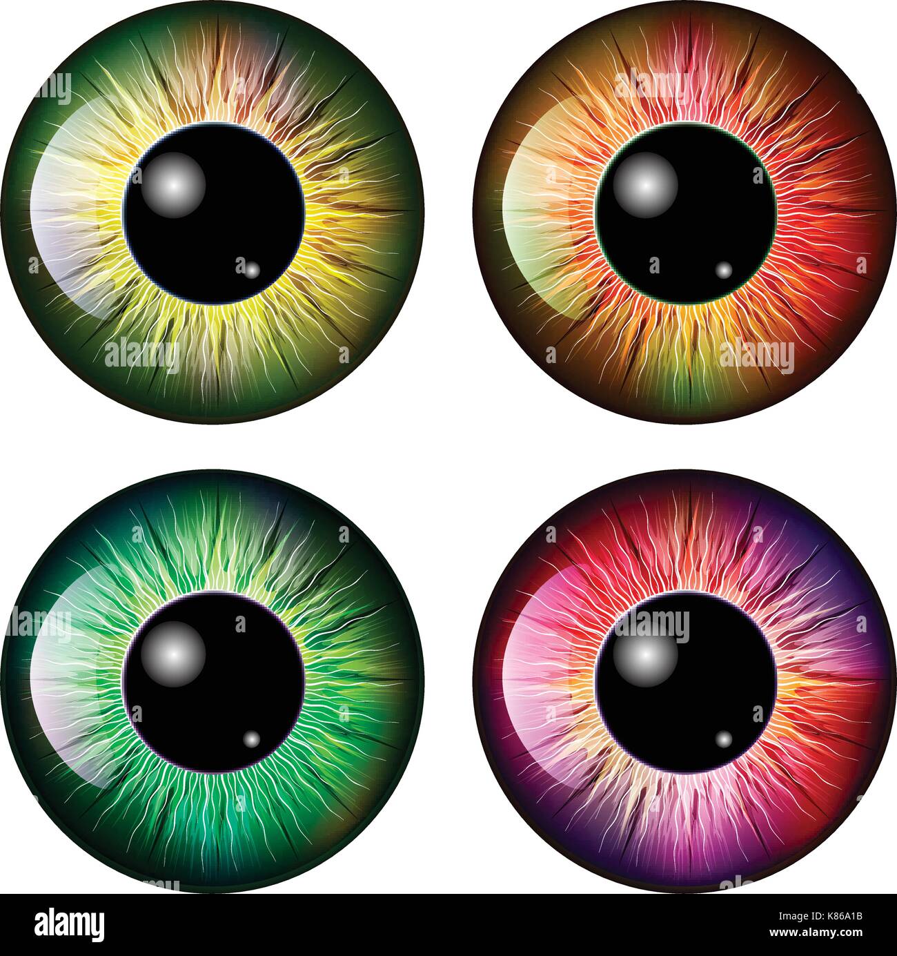 eye, pupil, iris, vector symbol icon design. Beautiful illustration