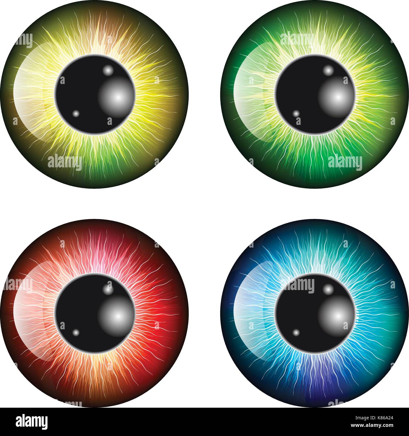 eye, pupil, iris, vector symbol icon design. Beautiful illustration