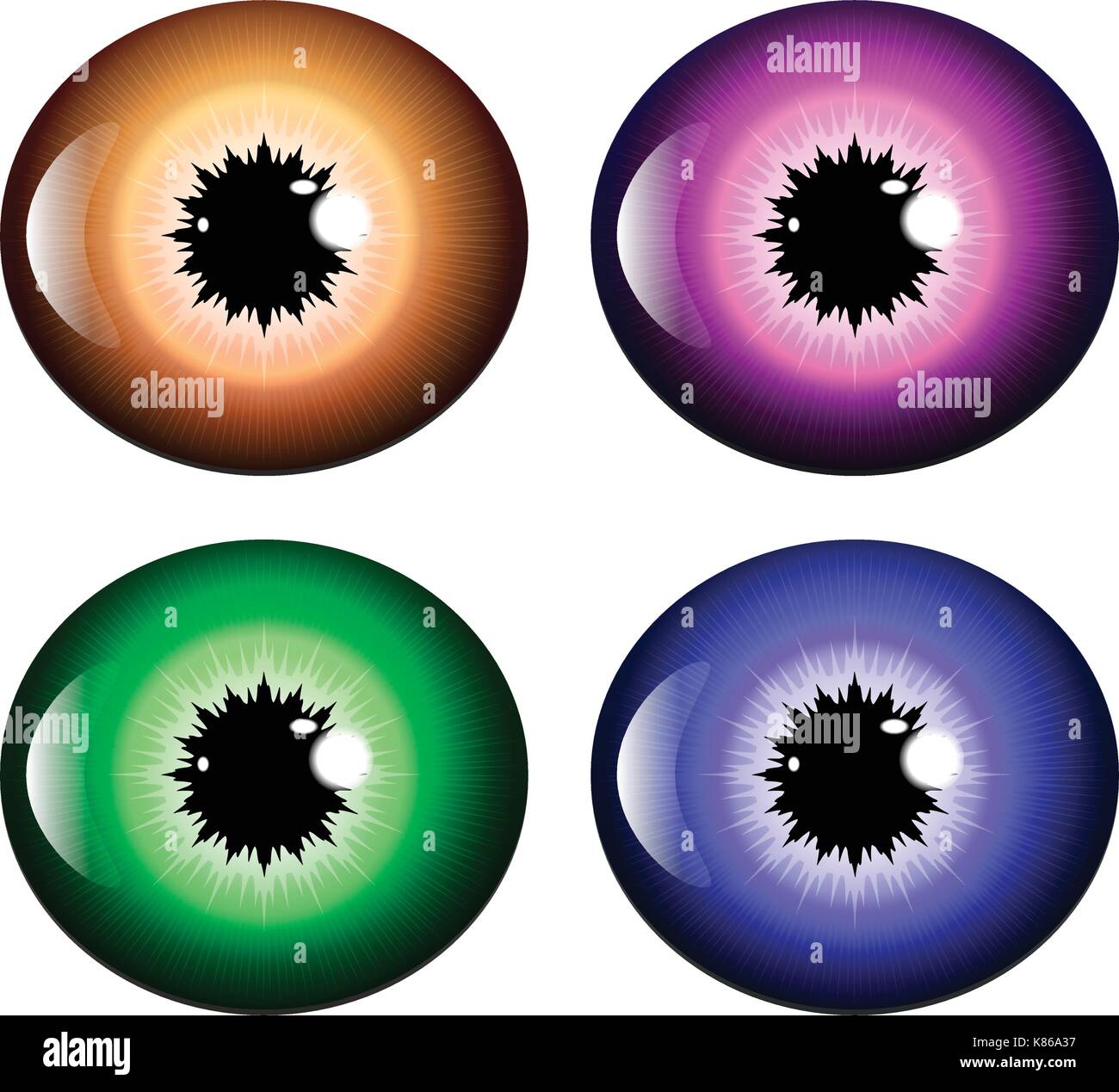 eye, pupil, iris, vector symbol icon design. Beautiful illustration