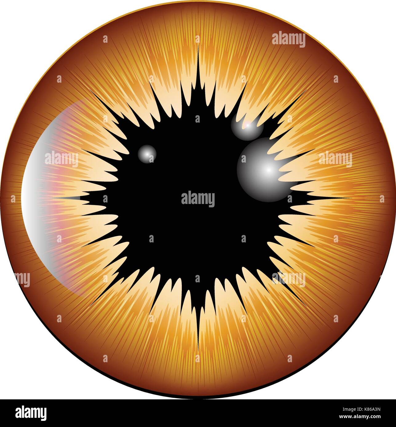 eye, pupil, iris, vector symbol icon design. Beautiful illustration
