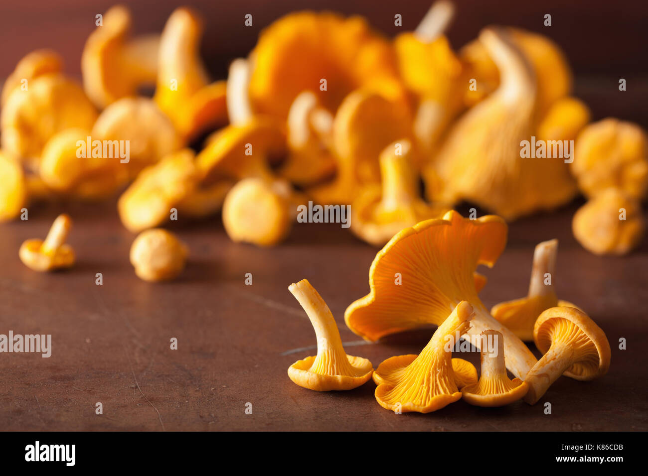 Chanterelle Mushroom Stock Photos & Chanterelle Mushroom Stock Images