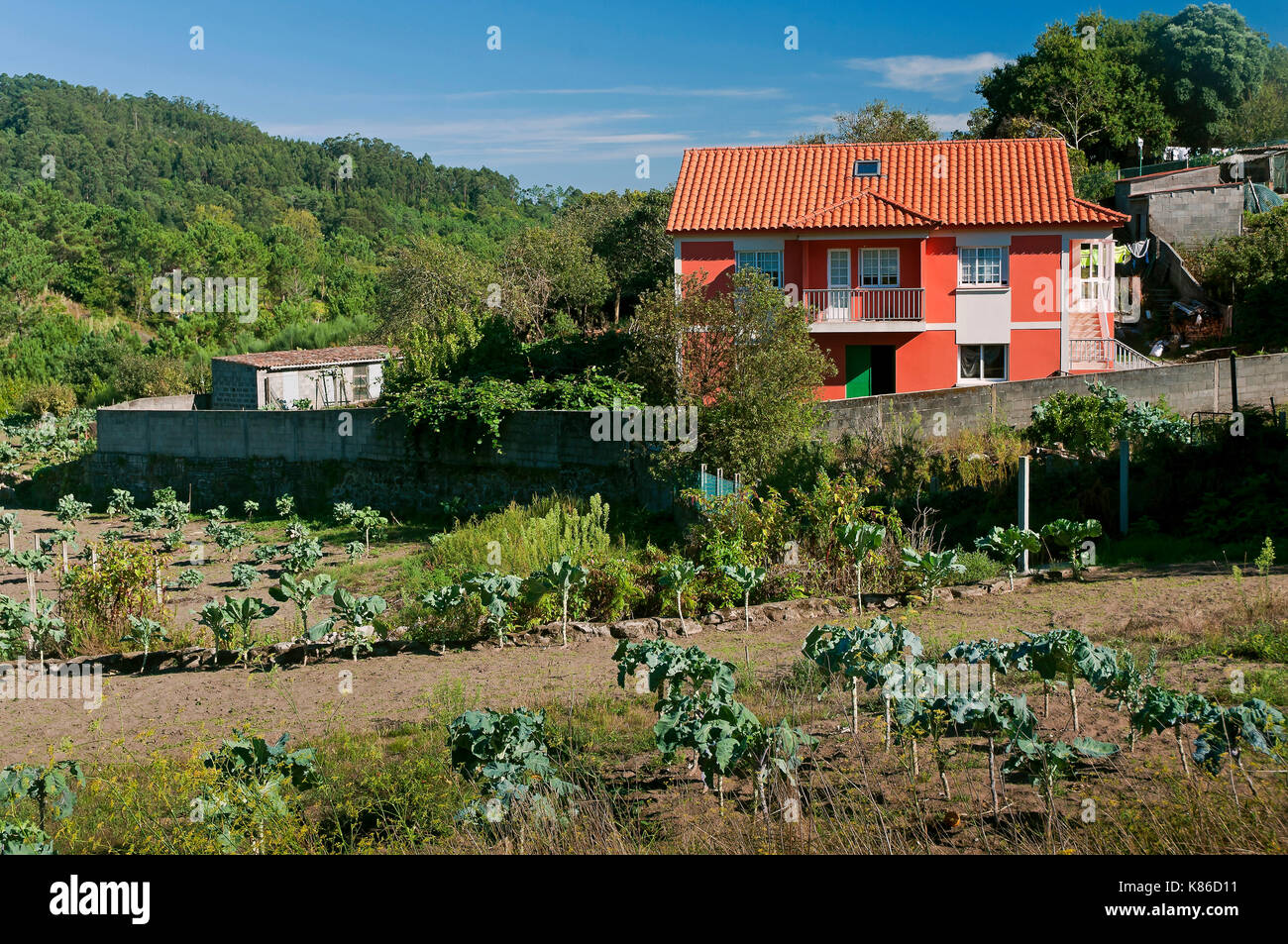 Farmhouse, Donon, Pontevedra province, Region of Galicia, Spain, Europe Stock Photo