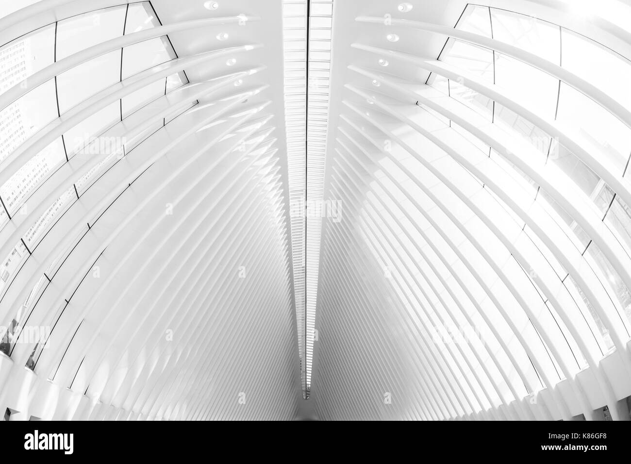 World trade center press Black and White Stock Photos & Images - Alamy