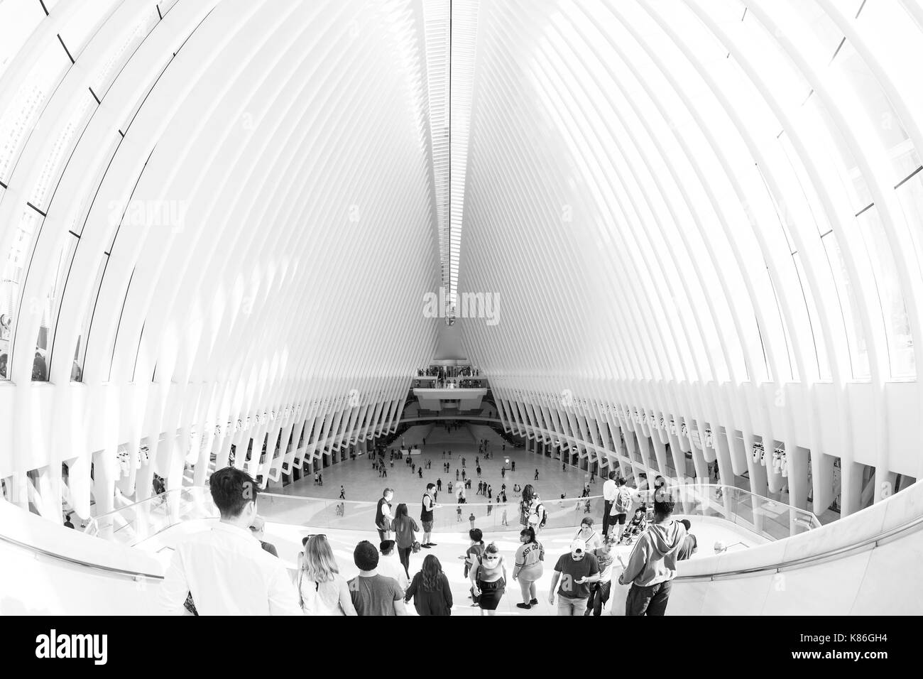World trade center press Black and White Stock Photos & Images - Alamy