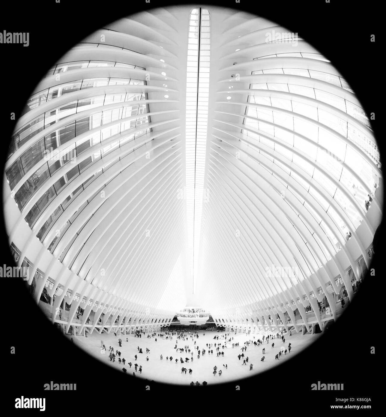 World trade center press Black and White Stock Photos & Images - Alamy