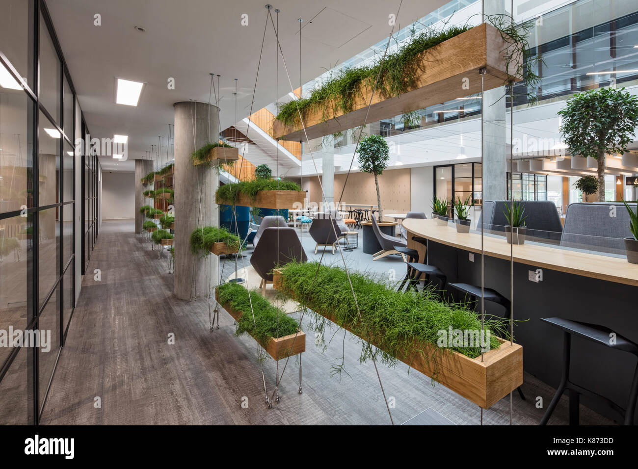 Living wall next to meeting rooms. YOOX Net-A-Porter Offices, London,  United Kingdom. Architect: Grimshaw, 2017 Stock Photo - Alamy