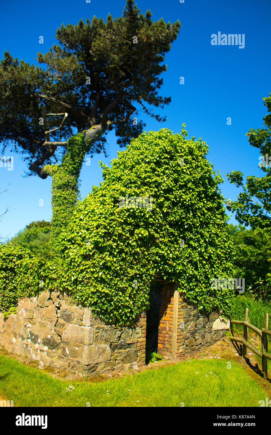 Quaint little cottage left derelict in Sark shot on a Summers day Stock Photo