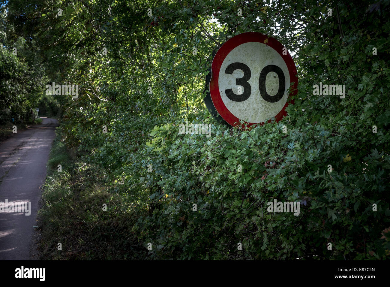 30 mph sign on a country road, Suffolk, UK. Stock Photo