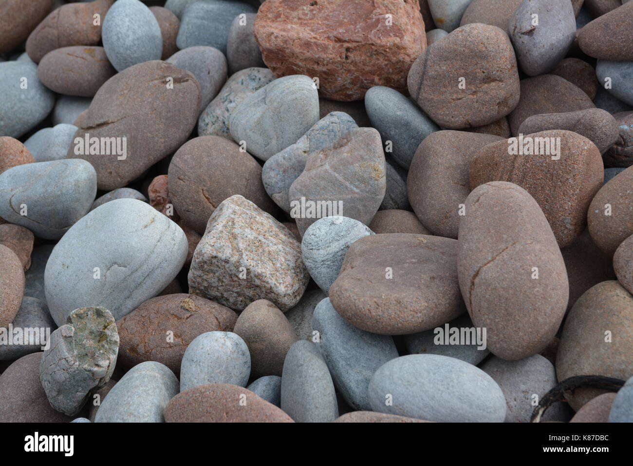 Collection of pebbles stones and rocks on beach in Rosemarkie Scotland UK near to Chanonry Point Stock Photo