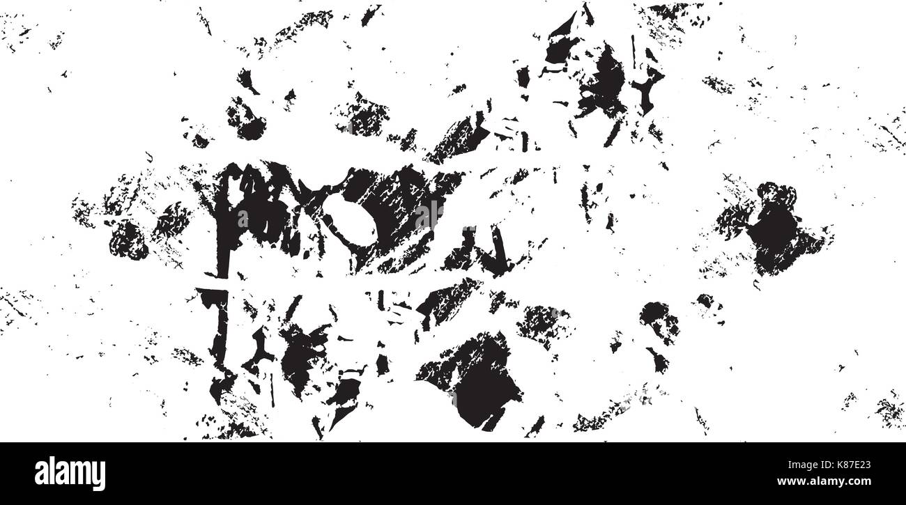 Grunge black and white texture Stock Vector
