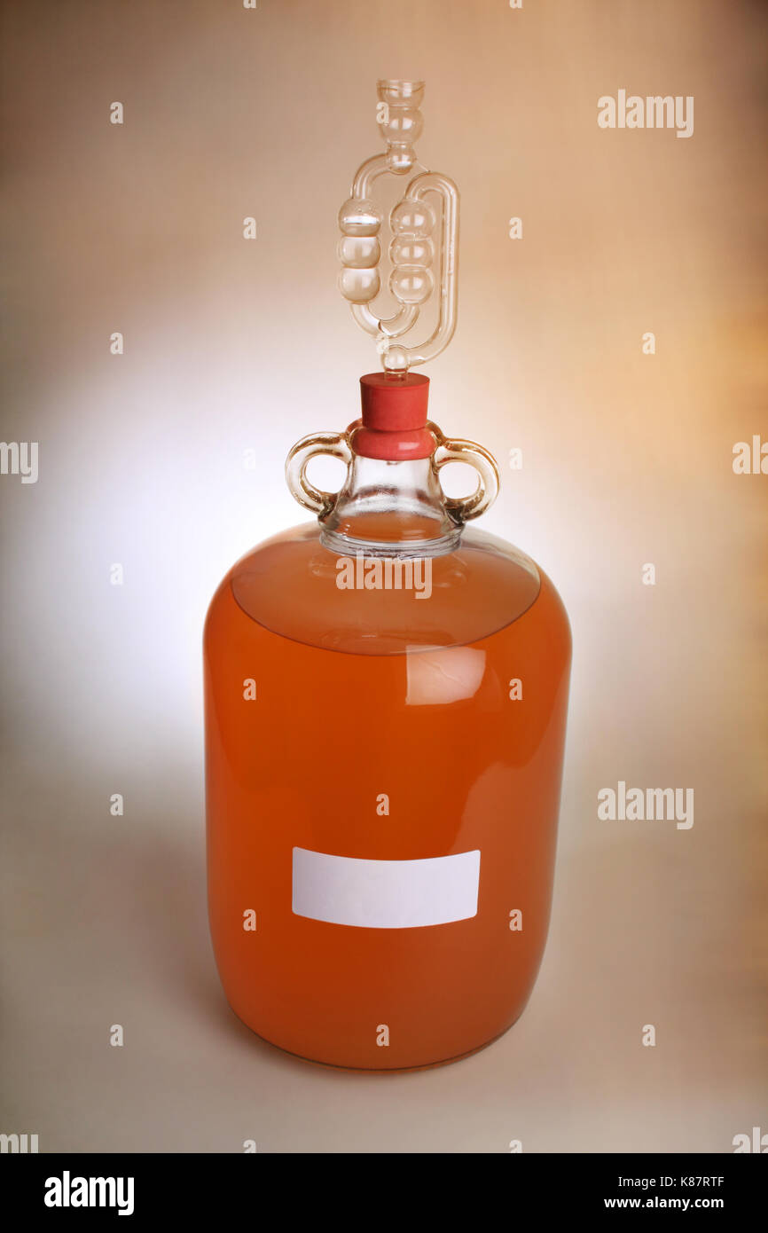 Peach wine in a demijohn with airlock in place due to wine still