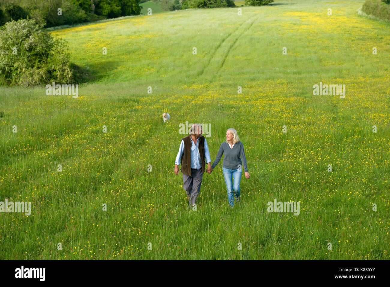 High angle view of man and woman walking hand in hand across a meadow. Stock Photo