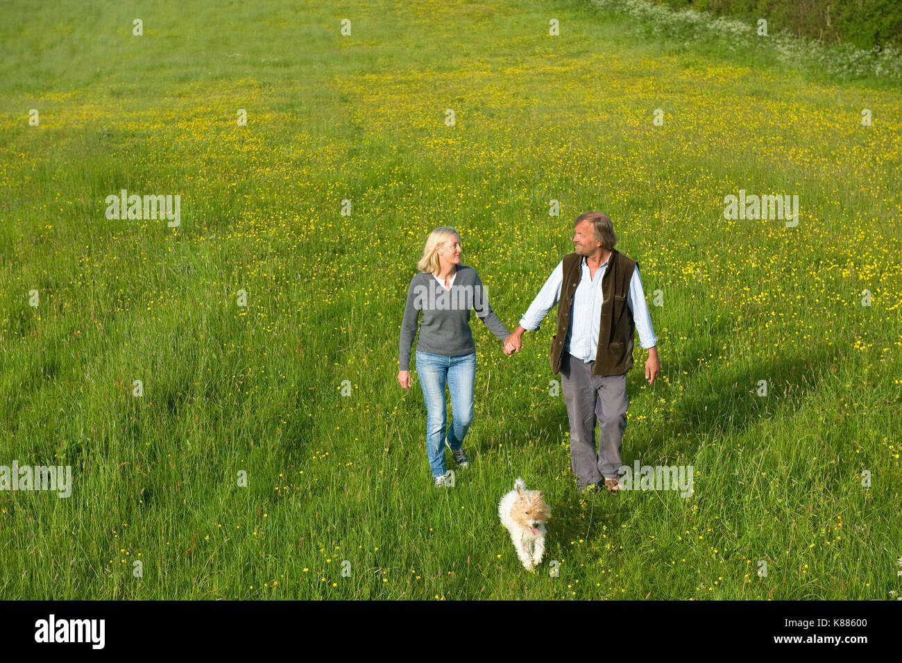High angle view of man and woman walking hand in hand across a meadow, small dog running beside them. Stock Photo
