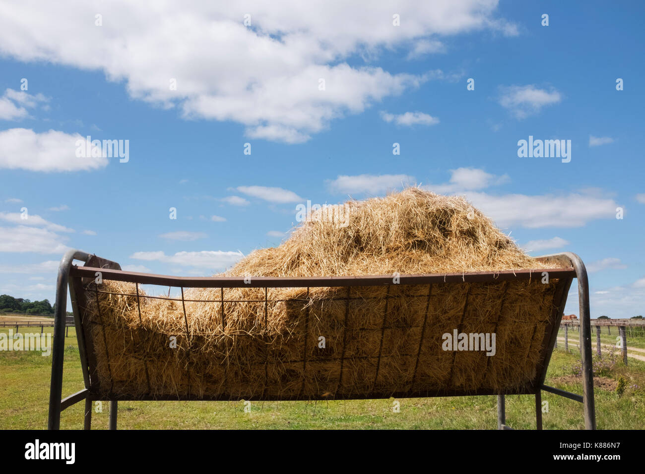 A Metal Animal Feed Trough Or Cattle Feeder Full Of Hay On A