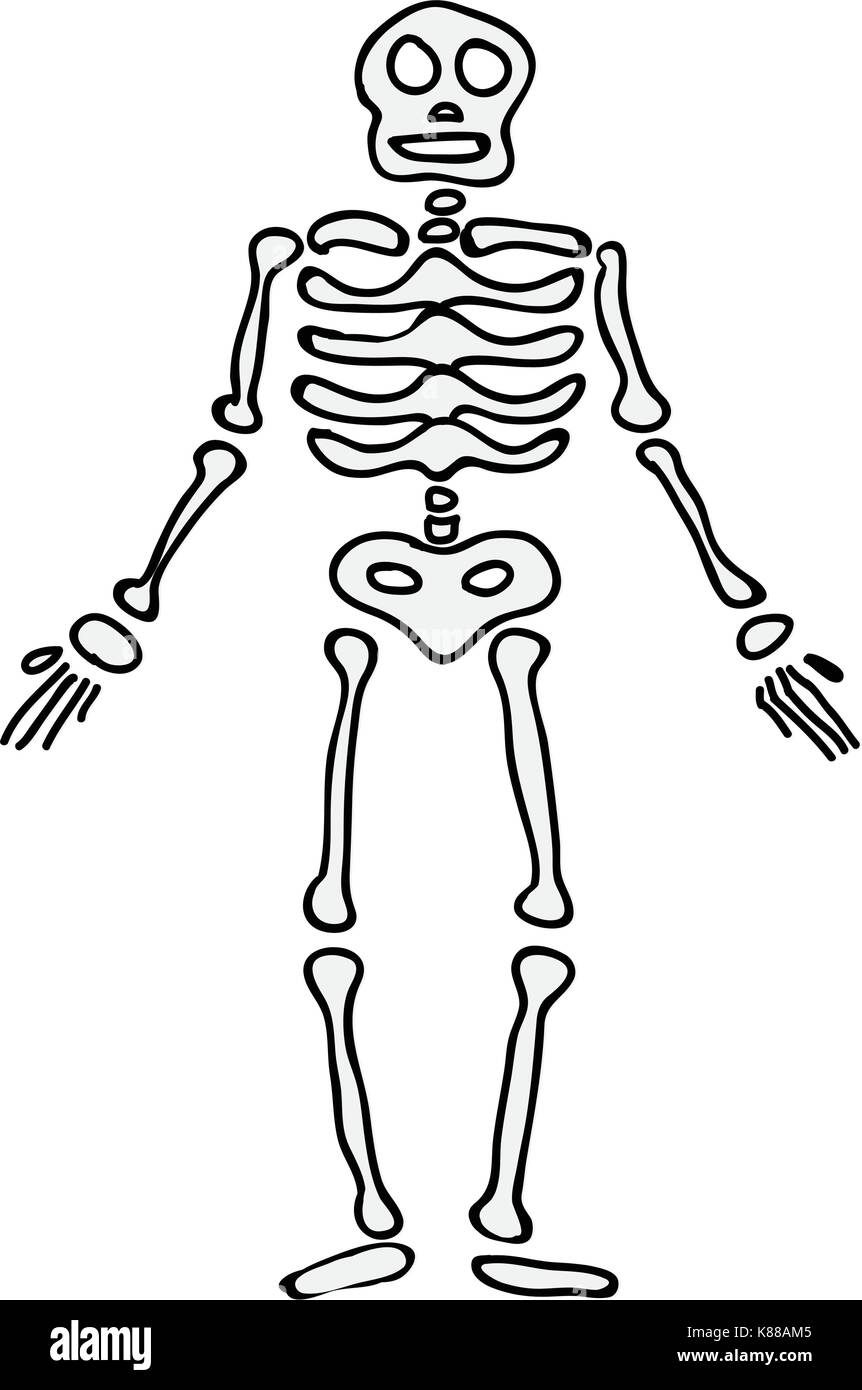 halloween skeleton vector symbol icon design. Beautiful illustration isolated on white background Stock Vector