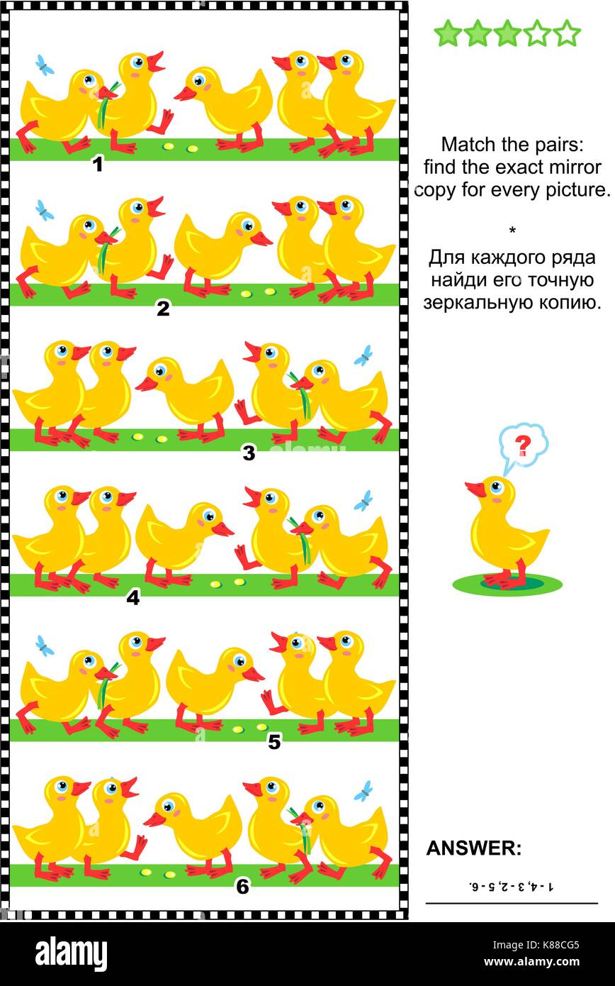 Visual logic puzzle or picture riddle Match the pairs find the exact