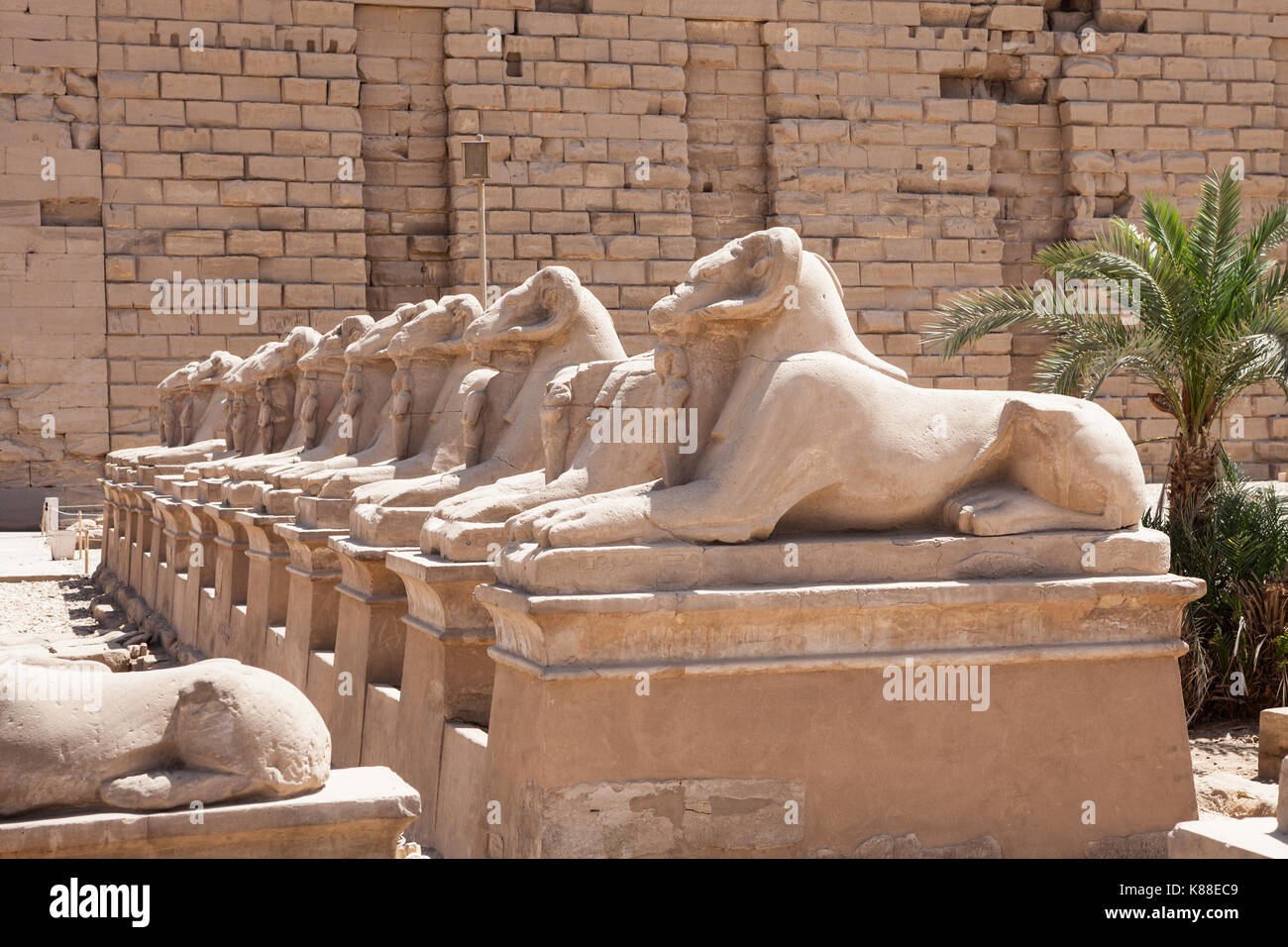 Ramheaded Sphinxes Statue In Karnak Temple, Luxor, Egypt Stock Photo