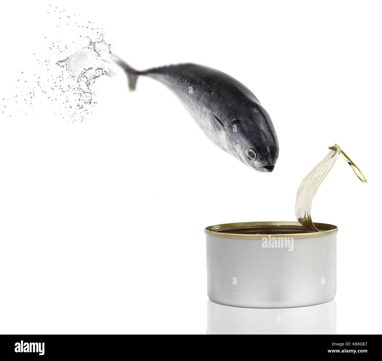 Tuna fish jumping into the can Stock Photo Alamy