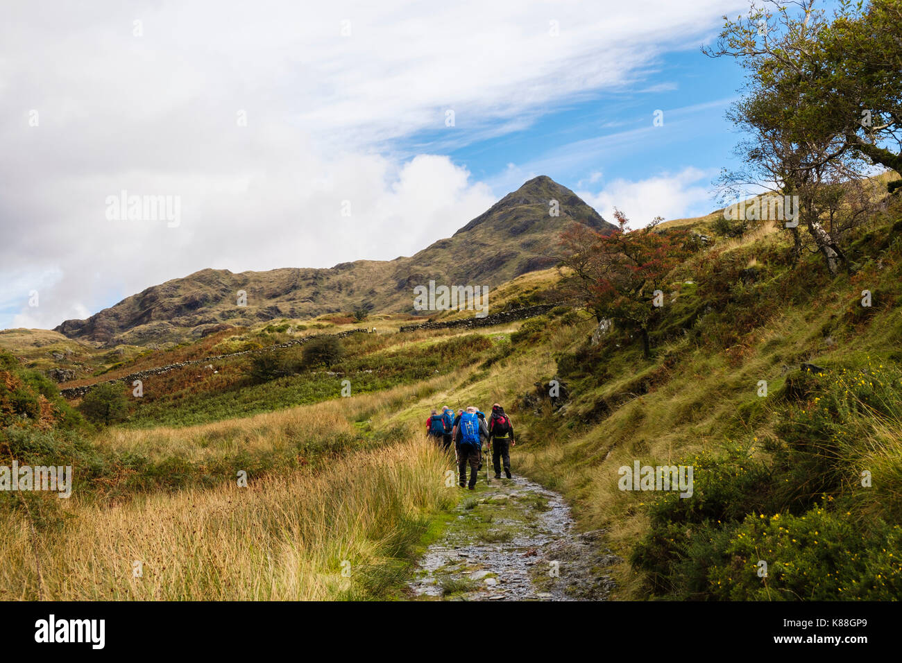 Hikers hiking on path to Cnicht mountain in Snowdonia National Park from Croesor, Gwynedd, North Wales, UK, Britain Stock Photo