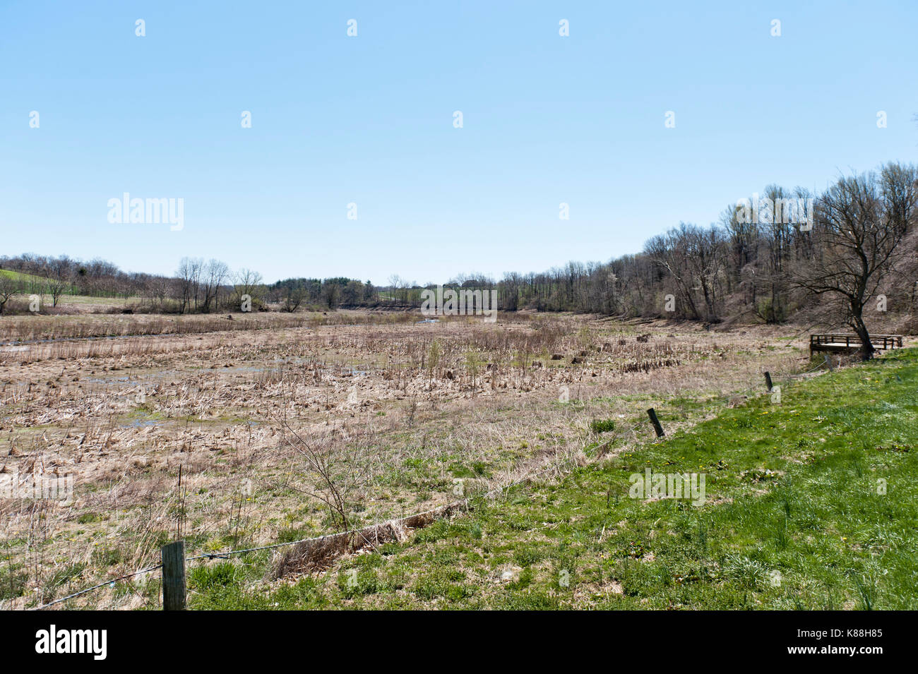 VIEW OF DRY LAKE BED AND FISH HABITAT STRUCTURES AT THE LOWER END OF SPEEDWELL FORGE LAKE AFTER DRAINING DUE TO DAM DAMAGE, LITITZ PENNSYLVANIA Stock Photo