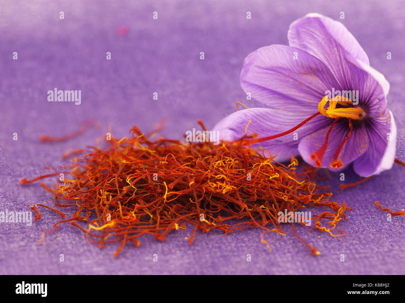 Dried saffron spice and Saffron flower Stock Photo Alamy