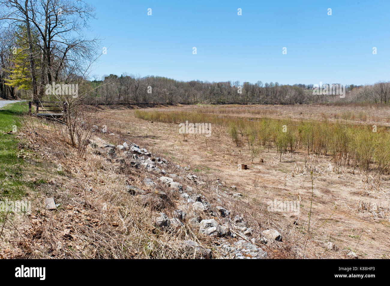 VIEW WEEDS GROWING IN THE LOWER END OF SPEEDWELL FORGE LAKE'S DRY LAKE BED, LITITZ PENNSYLVANIA Stock Photo