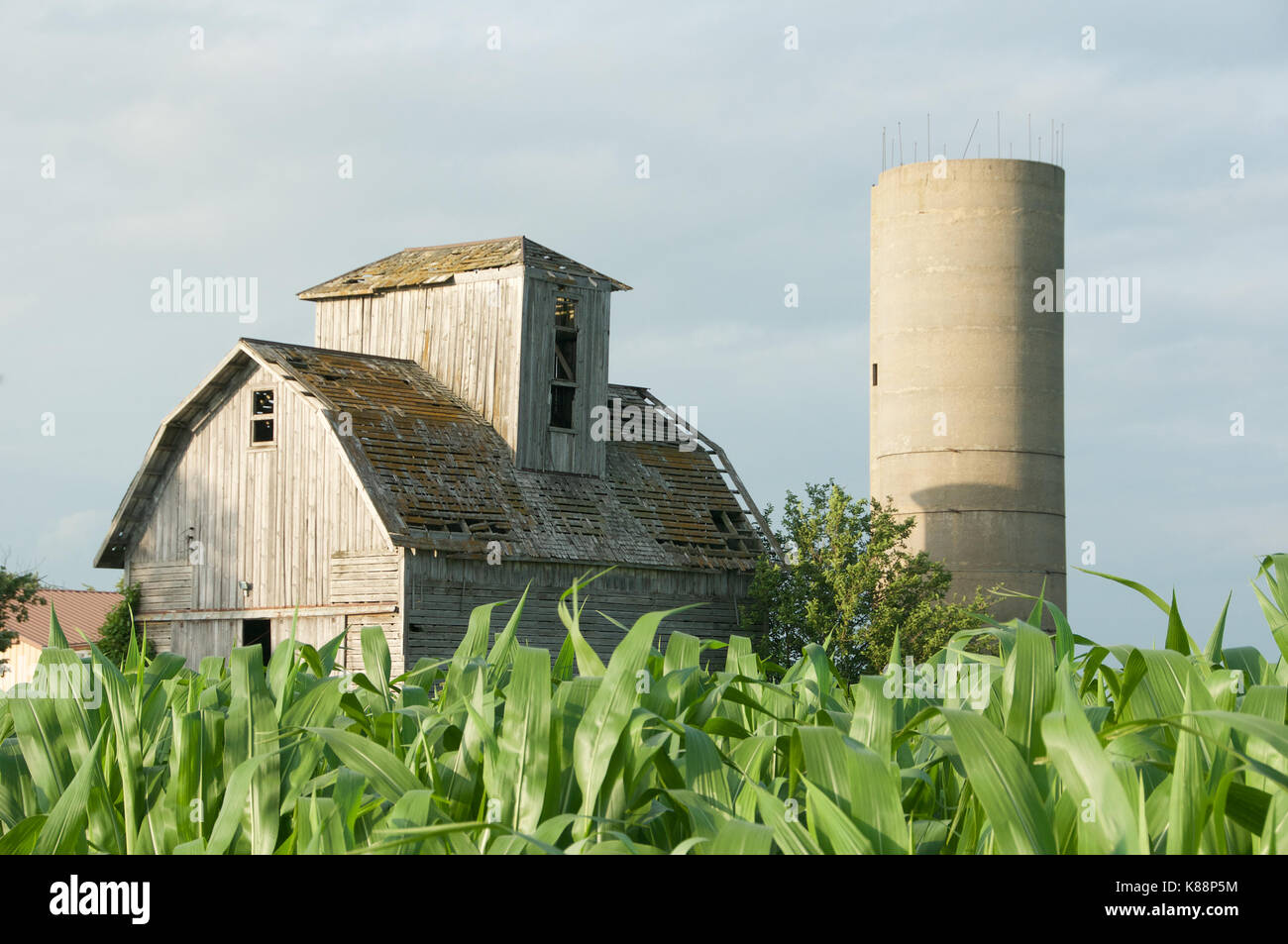 Illinois countryside hi-res stock photography and images - Alamy