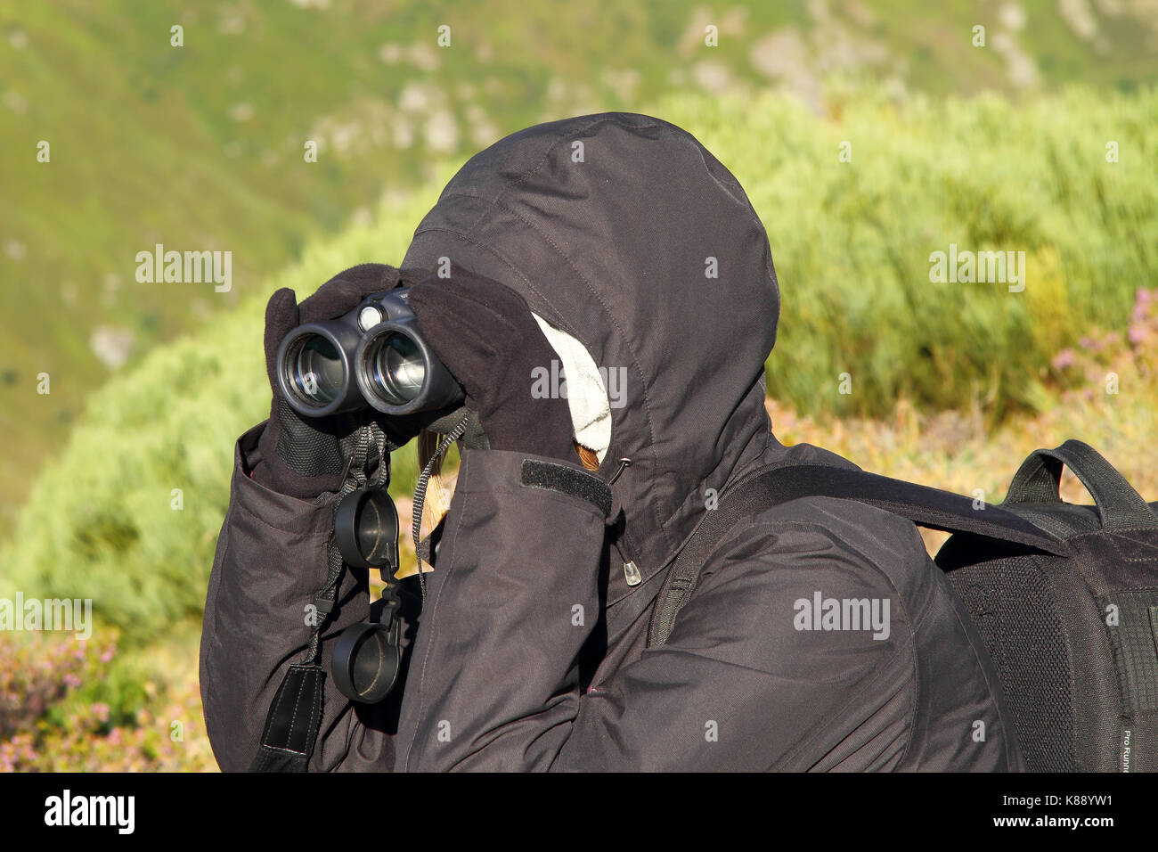 Biologist looking for wildlife using binoculars in the mountains of the north of Spain Stock Photo