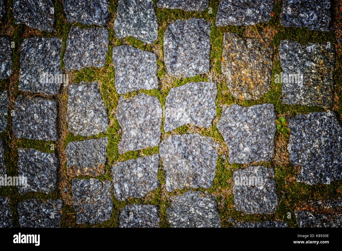 Abstract background of old cobblestone pavement texture with natural ...